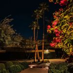 Uplit palms and flowering bougainvillea beside a lit walkway at night