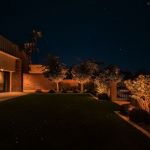 Lit lawn and building wall at night with uplit trees along the edge