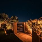 Lit gated walkway between stucco walls with uplit planting at night