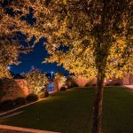 Uplit trees over a lawn beside a lit stucco wall at night