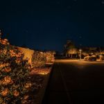 Lit driveway and landscaped edge of a church property at night