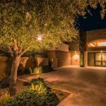 Uplit tree over a paver courtyard beside a lit building entrance at night