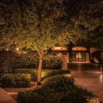 Uplit trees and trimmed hedges along a lit paver walkway at night