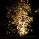 Northstar Outdoor Lighting, LLC