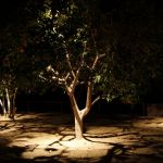 Northstar Outdoor Lighting, LLC
