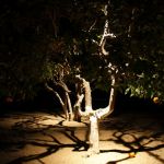 Northstar Outdoor Lighting, LLC