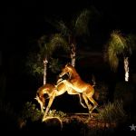 Northstar Outdoor Lighting, LLC