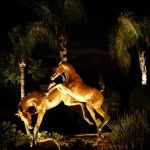 Northstar Outdoor Lighting, LLC