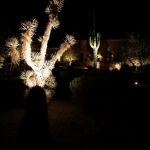 Northstar Outdoor Lighting, LLC