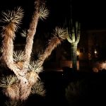 Northstar Outdoor Lighting, LLC