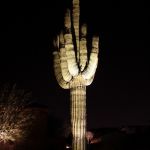 Northstar Outdoor Lighting, LLC