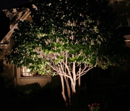 img022