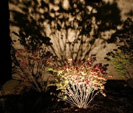 img033