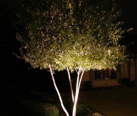img051