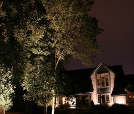 img054
