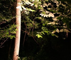 img055