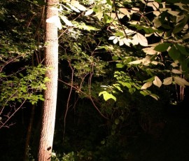 img056