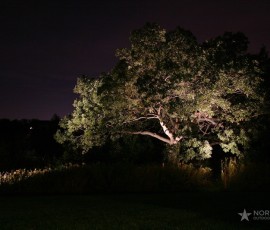 img073