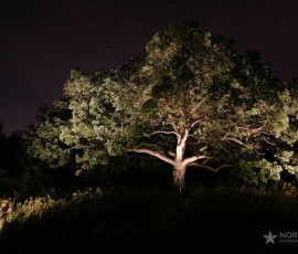 img074
