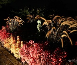 img078
