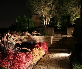 img079