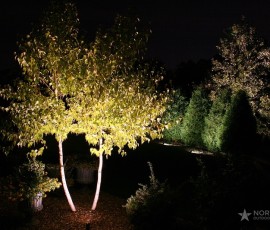 img085