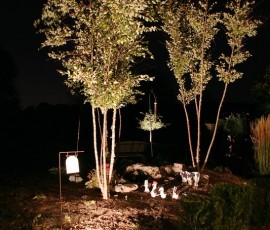 img096