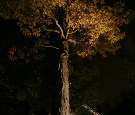 img133