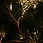 Northstar Outdoor Lighting, LLC
