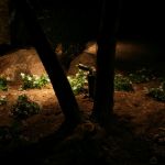 Northstar Outdoor Lighting, LLC
