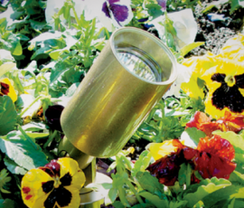Brass well light mounted flush among yellow pansies and green foliage