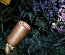 Copper bullet uplight glowing among ferns and purple flowers