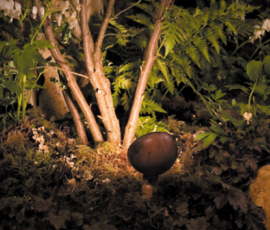Bronze uplight at the base of a multi-trunk tree, branches lit from below