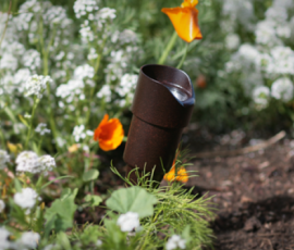 Bronze directional bullet light angled among white and orange poppies