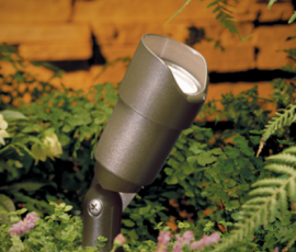 Northstar Outdoor Lighting in Scottsdale Arizona showing uplighting in garden area